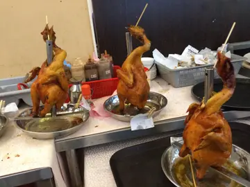 企鹅鸡
