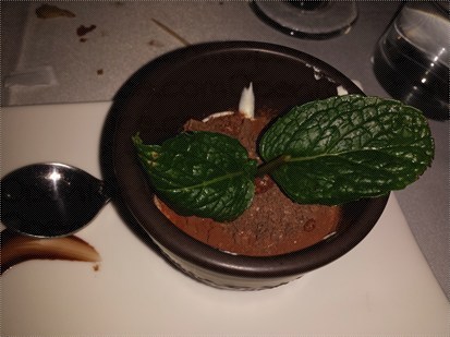 Dessert: Tiramisu (佢叫朱古力盤栽)