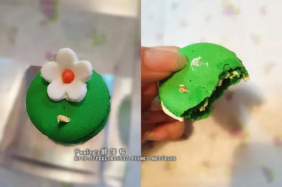 開心果Macaron