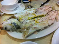 鹽焗烏頭