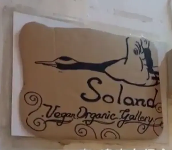Soland 的招牌