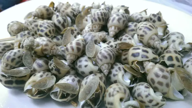 細細粒,唔單止容易食,仲好好食~