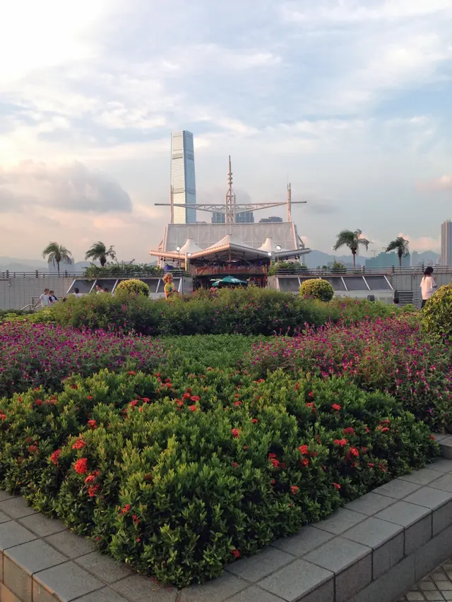 門外花圃，小孩在花海中跑跑跳跳