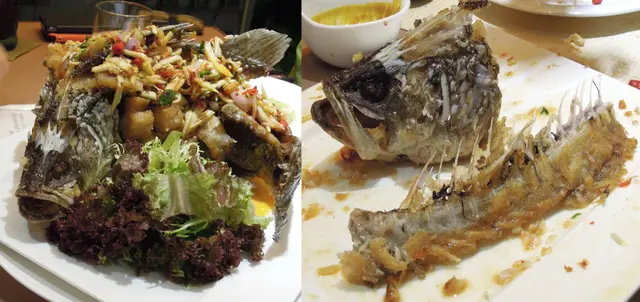 Omg, 木瓜沙律同條魚好夾, 咁大條魚, 呢幾隻為食貓差D連條魚骨都KO埋!