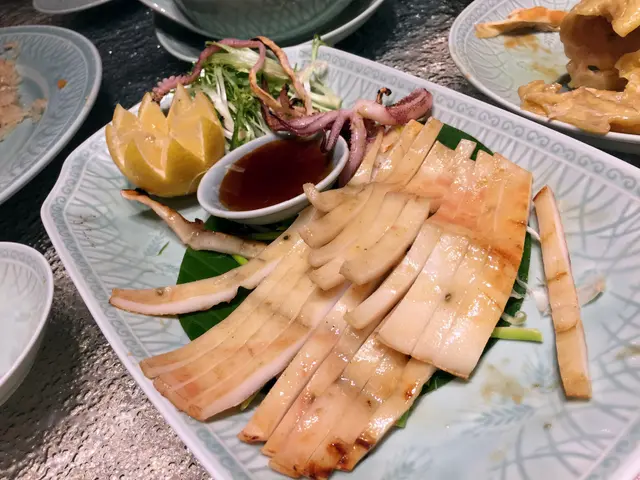 潮式燒吊片