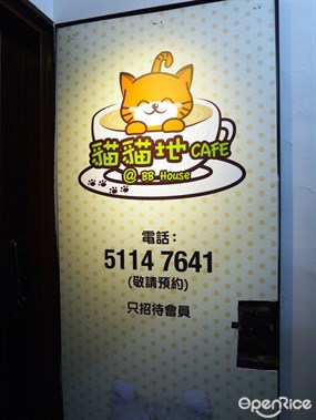 Meow Meow Day Cafe