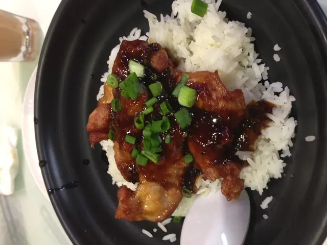 燒汁雞球飯
