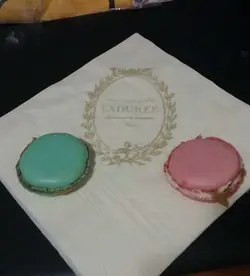 苿莉,玟瑰