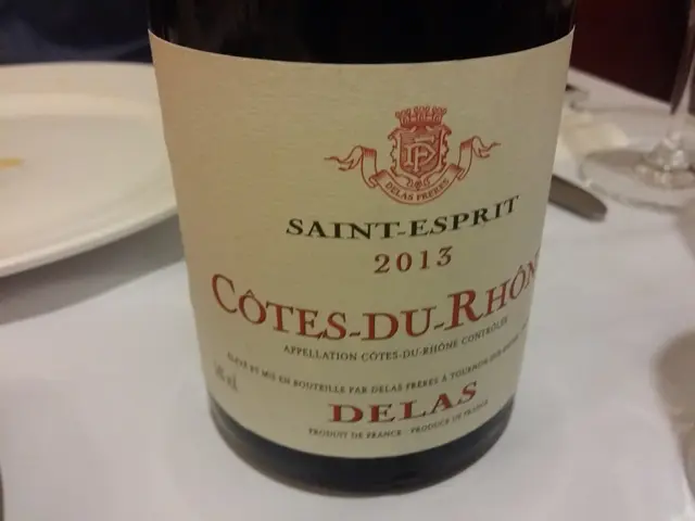 Delas Cotes du Rhone Rouge,France 2013