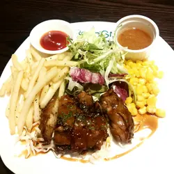 Japanese teriyaki chicken