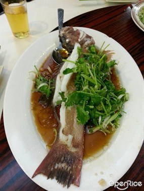 蒸魚 - 荃灣的傲嚐