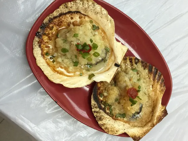 扇貝