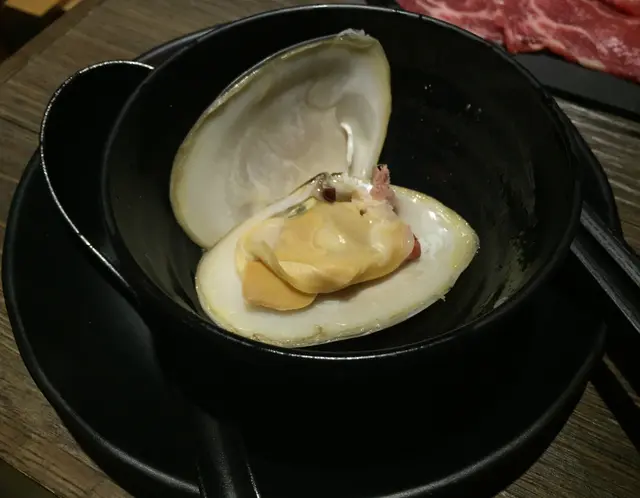 紐西蘭一級''托托蜆''