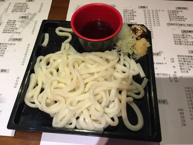 手打冷烏冬
