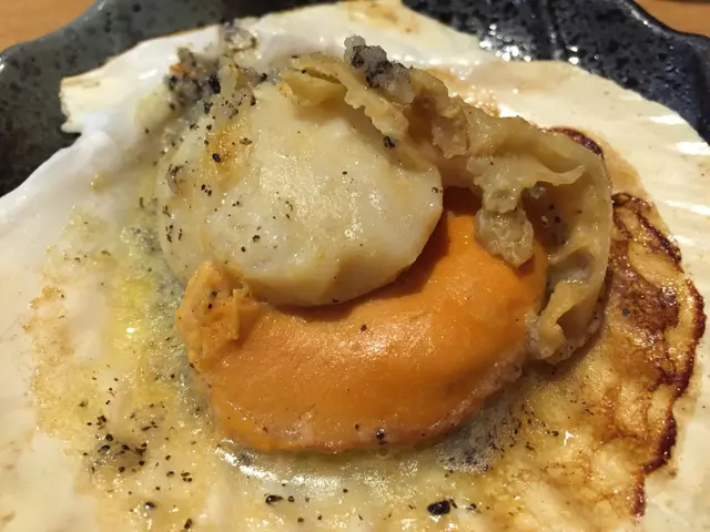 北海道特大帆立貝