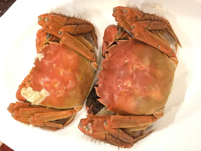 大閘蟹