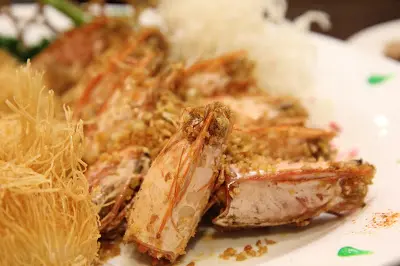 子母龍鬚蝦