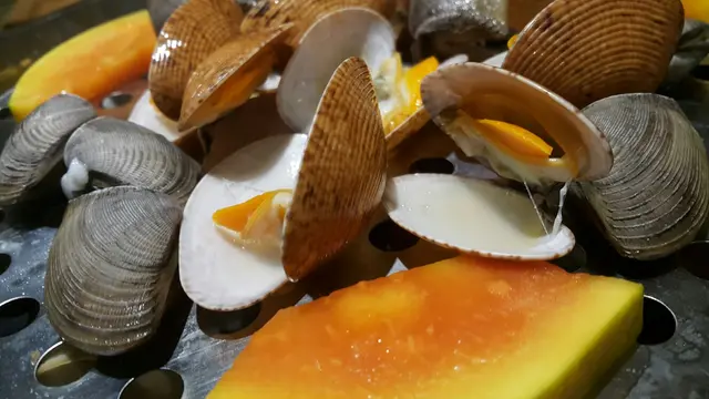 蝴蝶蚌、大花蛤(第五層)