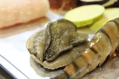 南非活鮑魚
