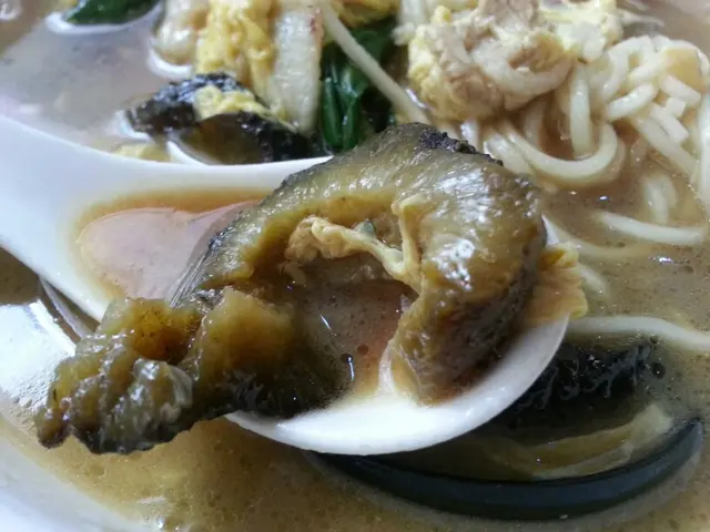 嫩雞煨麵竟然捨得用上海參