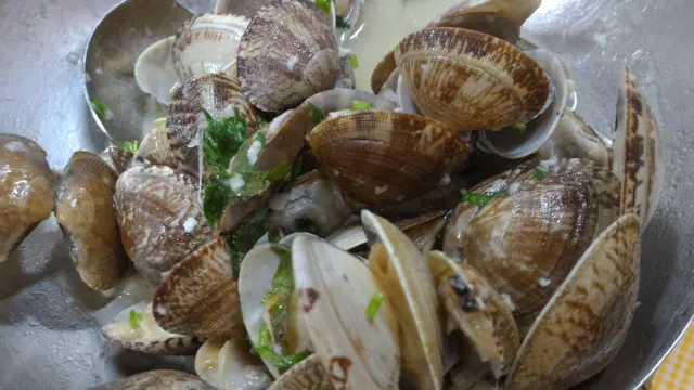 Portuguese clam