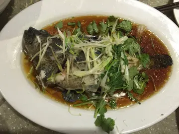 清蒸黃皮老虎斑