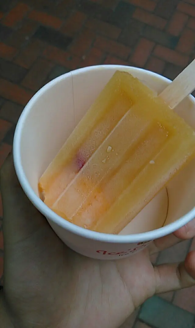 真的有水果在裏面，所以有點酸，但感覺較天然，不錯。