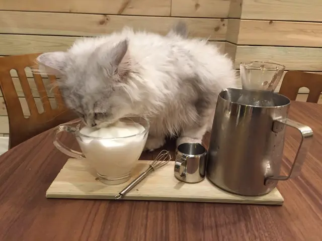 睇下「張志明」幾為食