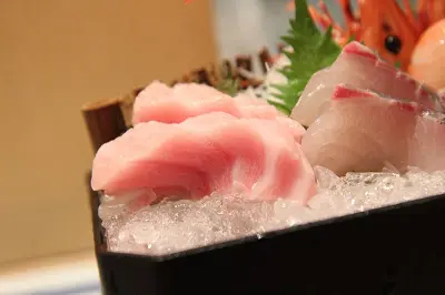 吞拿魚腩