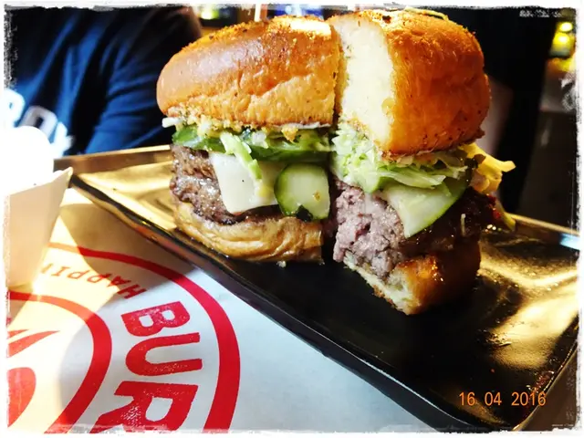 Hiro Burger