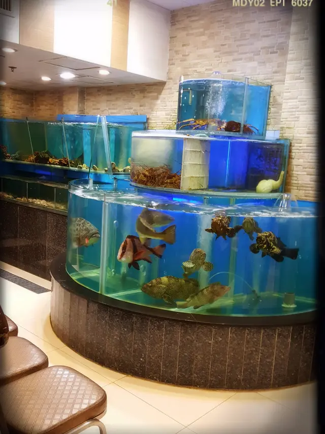 海藍色o既魚缸內有多種及多隻生猛o既海鮮