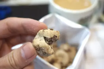 Mini Choc Chip Cookie