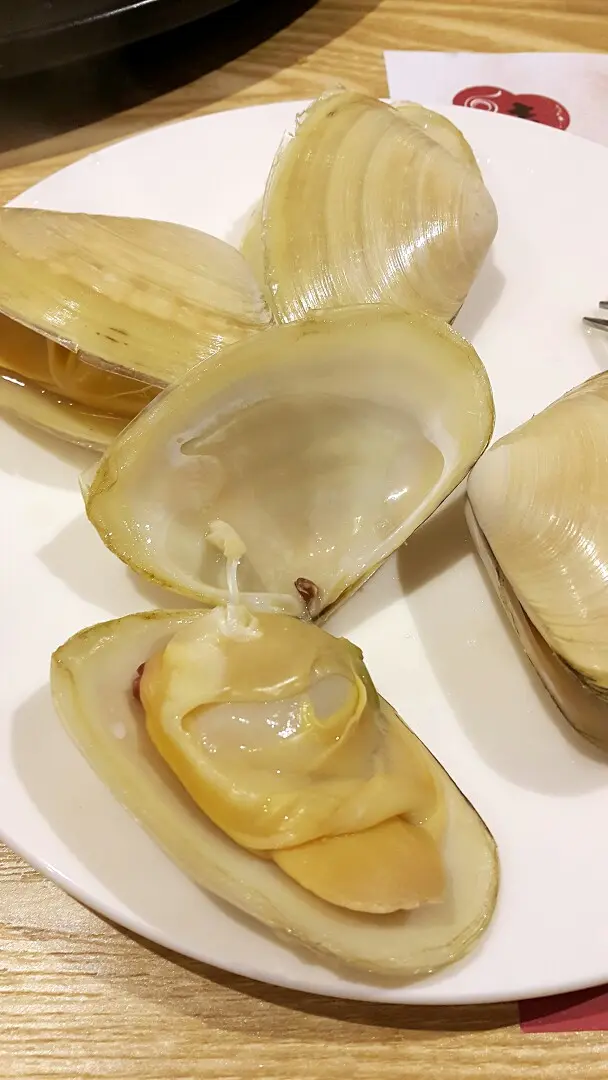 肥大肉厚超鮮甜