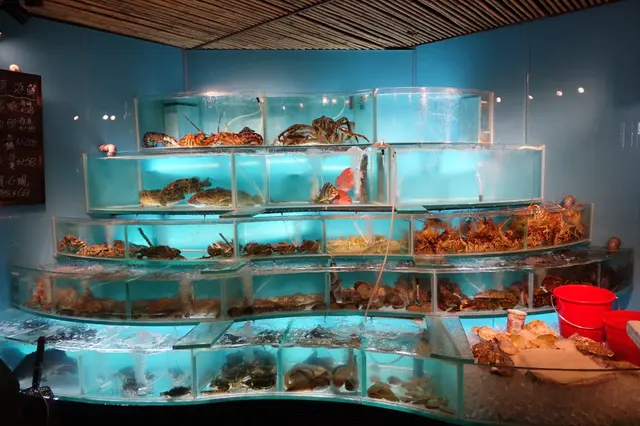 琳瑯滿目的海鮮，令我們花多眼亂！