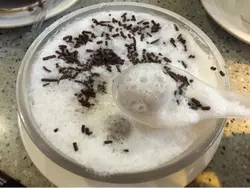 椰明珠