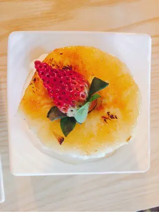 燒波羅雪芭