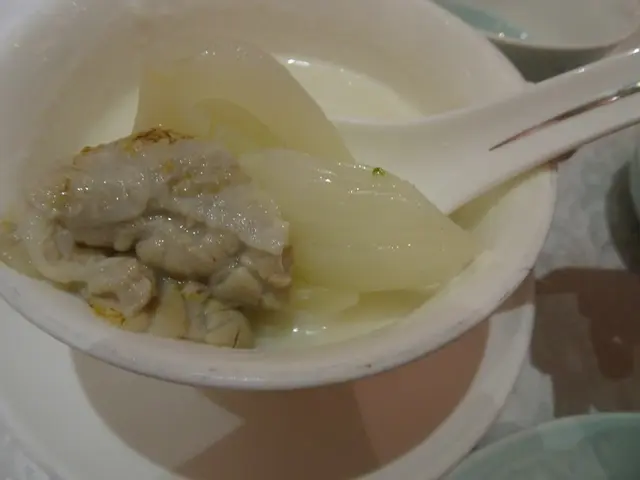 杏汁燉白肺湯
