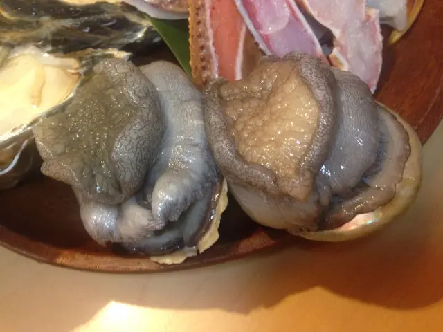 鮑魚