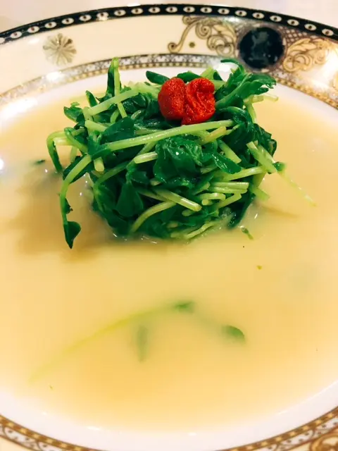 鮮魚湯浸碧綠溫室菜苗