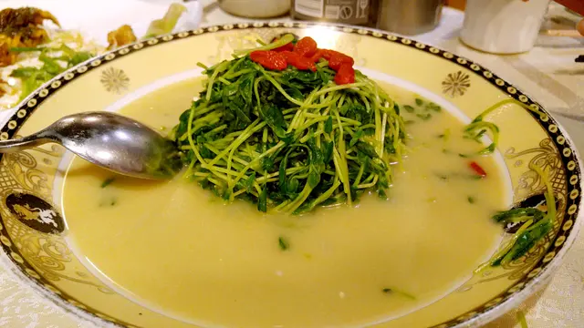 鮮魚湯浸溫室菜苗