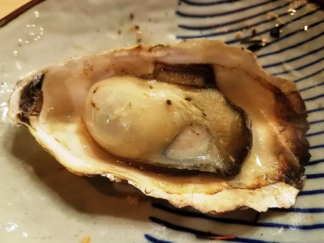 兵庫縣活播磨牡蠣