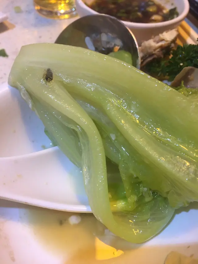 小小強係送既....無叫過