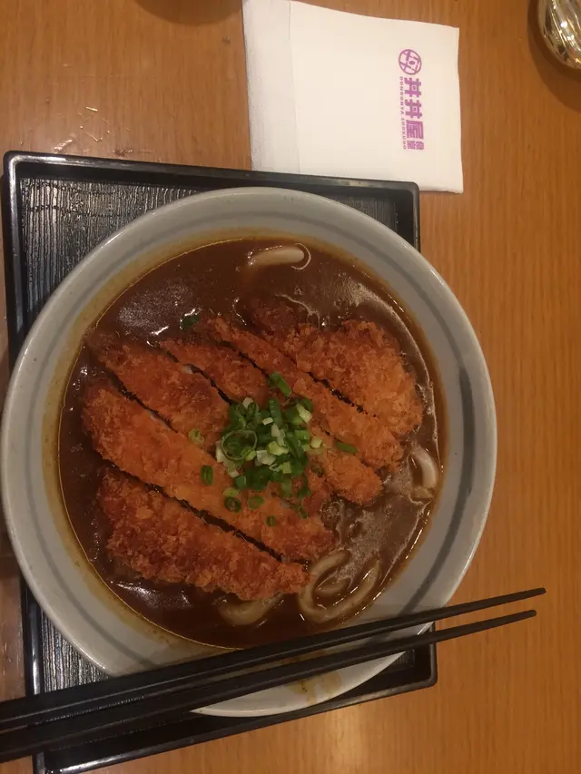 Curry pork cutlet udon