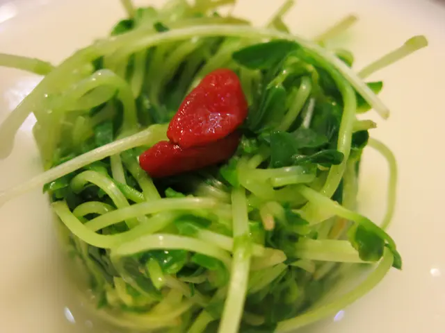 米王湯浸碧綠溫室菜苗