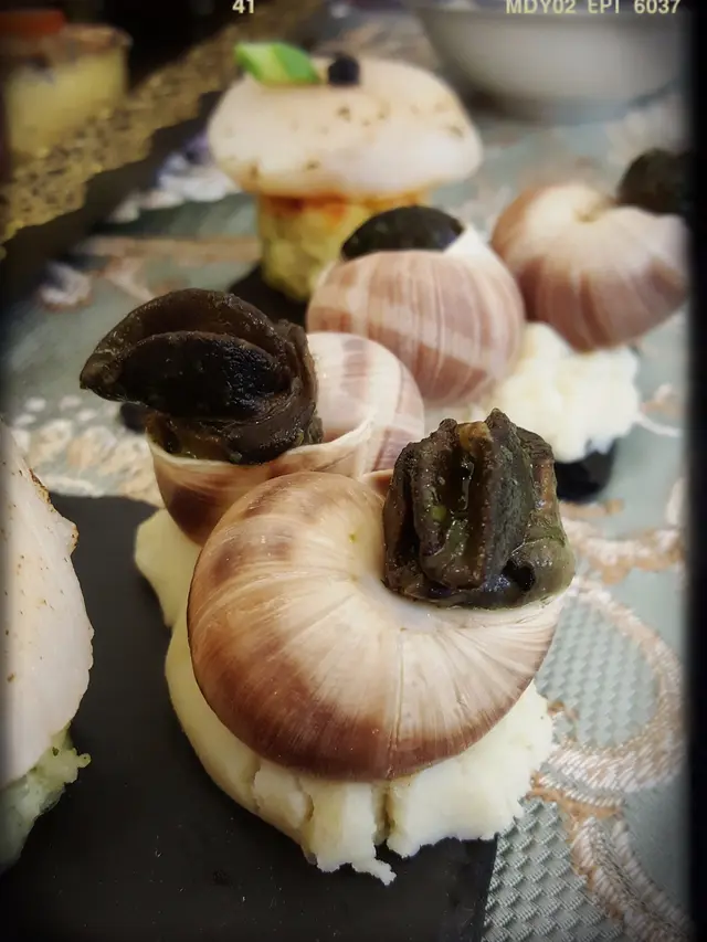 法國蝸牛