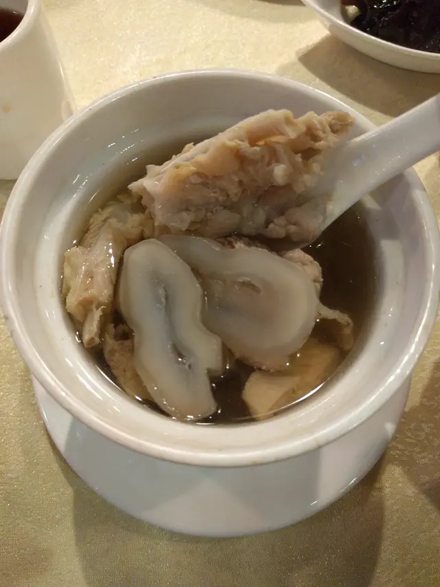 原盅燉川貝陳皮海底椰鱷魚肉湯