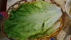 包送生菜