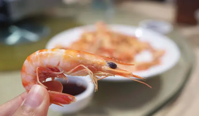 九節蝦較上次到來時體型較細小