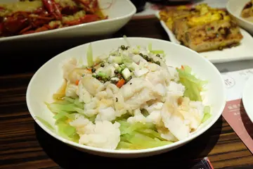 青春若是条不老的鱼