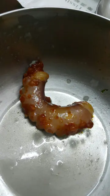 辣椒炒八爪鱼
